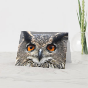 Cartão Fotografia de Wise Owl