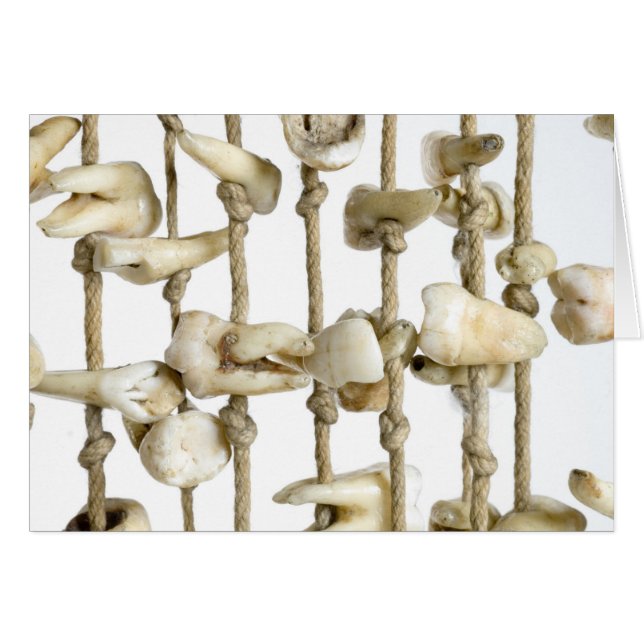 Cartão Fotografia dentária engraçada Dentista de dentes e (Frente Horizontal)