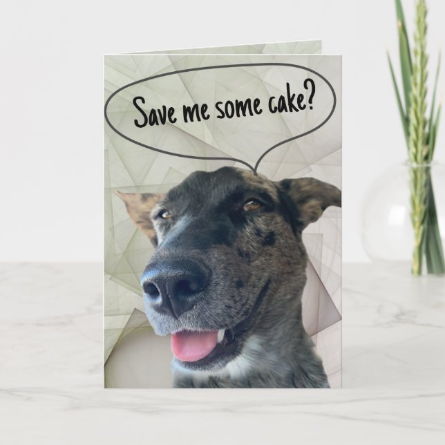 Cartão Fotografia divertida de um cão de gado cinza listr (Frente)