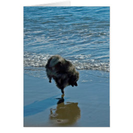 Cartão Fotografia do Balé Keeshond - Arte de Cachorro Ori