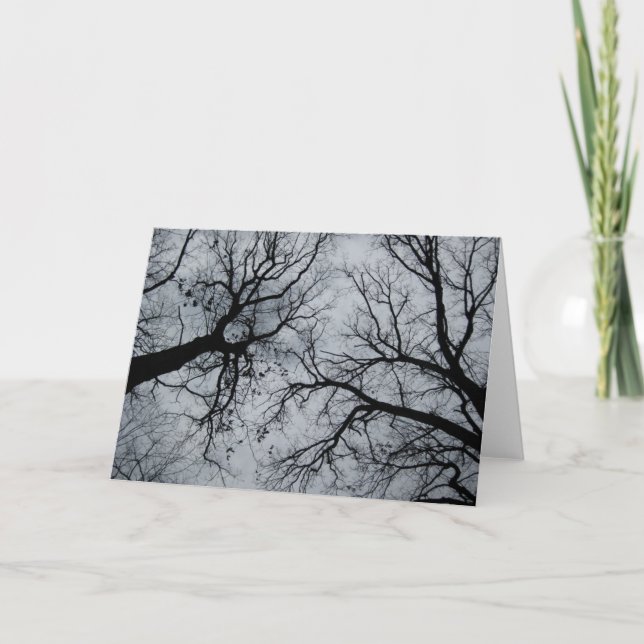 Cartão Fotografia do Céu de novembro através de árvores (Frente)