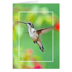 Cartão Fotografia do colibri