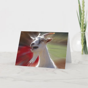 Cartão Fotografia engraçada da cabra de Tallking