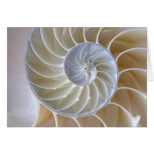 Cartão Fotografia espiral dourada de Shell do nautilus