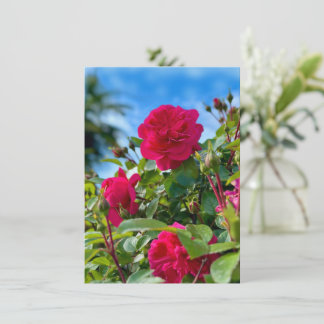 Cartão Fotografia Floral de Jardim Ensolarado