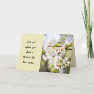 Cartão Fotografia Floral Longa Tipografia de Amizade