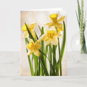 Cartão Fotografia Floral: Primavera amarelo Daffodils