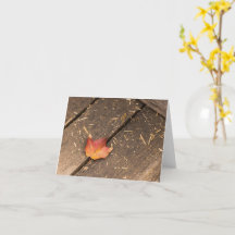 fotografia minimalista de outono de folha de bordo