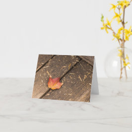 Cartão fotografia minimalista de outono de folha de bordo