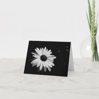 Cartão Fotografia Notecards