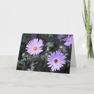 Cartão Fotografia original do jardim das flores roxas bon