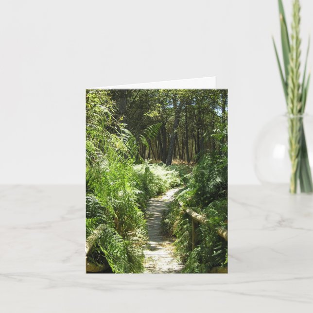 Cartão fotográfico de Espanha de pista para caminh (Frente)