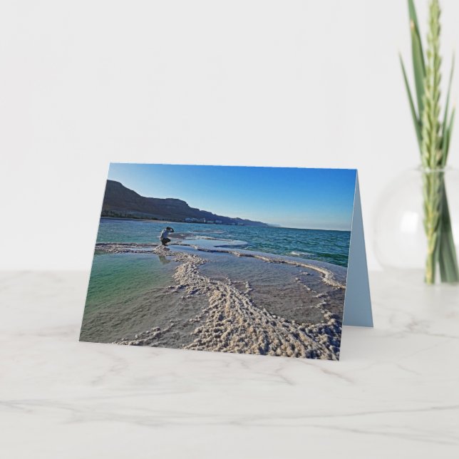 Cartão Fotógrafo no Mar do Morto, Saudação de Ocasião (Frente)