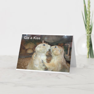 Cartão fotos de animais bonitos