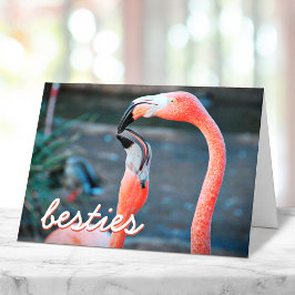 Cartão Fotos de aves Flamingo Rosa Script Stylish Besties