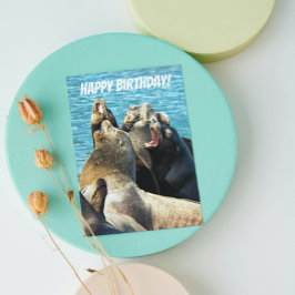 Cartão Fotos de Leões Marinhos de Todos os Aniversários