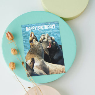 Cartão Fotos de Leões Marinhos de Todos os Aniversários