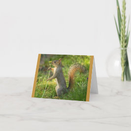 Cartão Found Squirrel with Dandelion image
