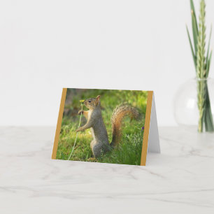 Cartão Found Squirrel with Dandelion image