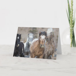 Cartão Four Adobes - Galloping to Freedom Greeting Card