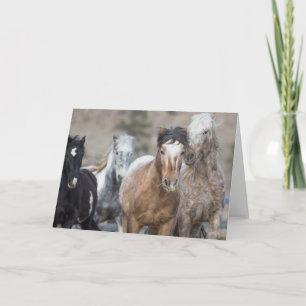 Cartão Four Adobes - Galloping to Freedom Greeting Card