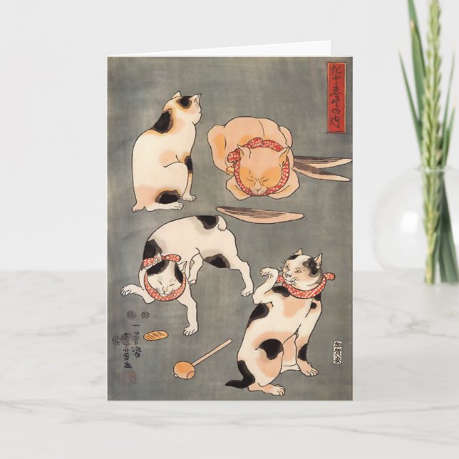 Cartão Four Cats in Different Poses Greeting Card (Frente)