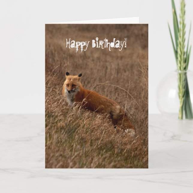 Cartão Fox in the Grass; Happy Birthday (Frente)