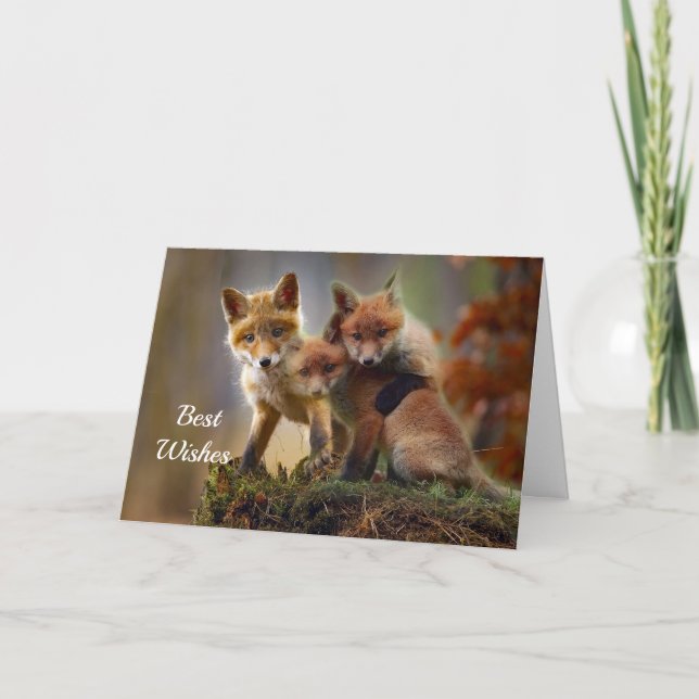 Cartão Fox Kits Photo Congratulations Wedding Card (Frente)