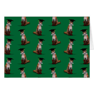 Cartão Fox Mais Inteligente Da Cidade