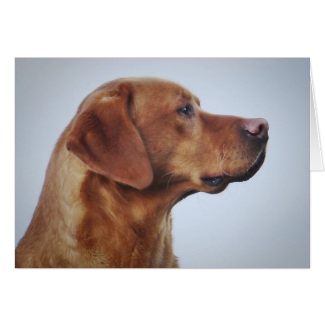 Cartão Fox Red Labrador Gundog (Frente Horizontal)