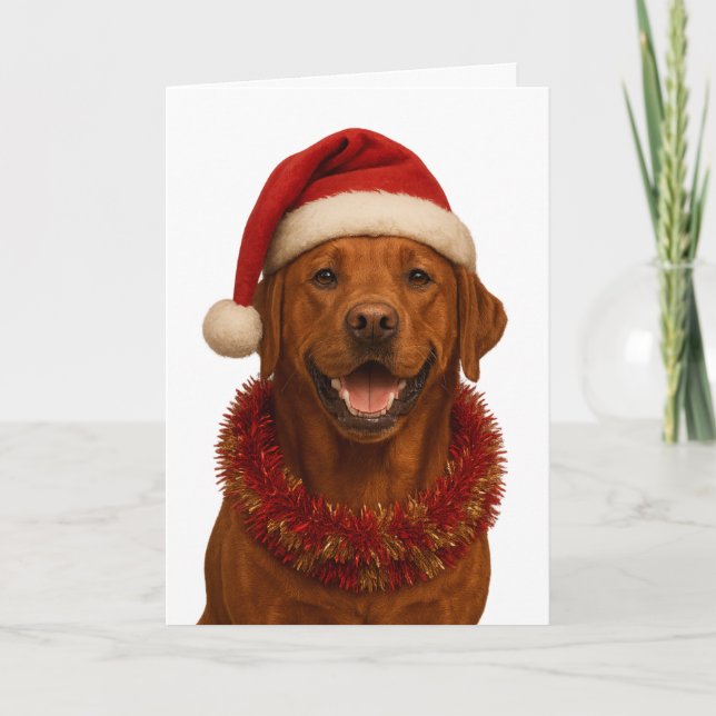 Cartão Fox red Labrador Retriever Christmas card (Frente)