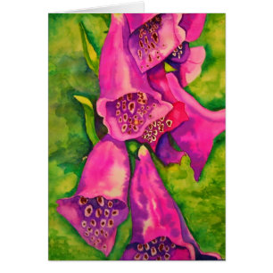 Cartão Foxglove