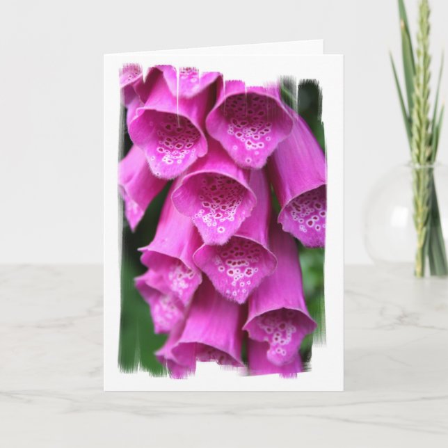 Cartão Foxglove Plant Greeting Card (Frente)