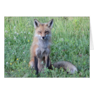 Cartão Foxy Lady