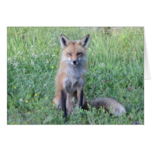 Cartão Foxy Lady
