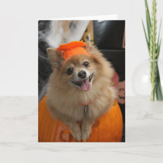 Cartão Foxy Pomerania sorridente no Dia das Bruxas de Abó