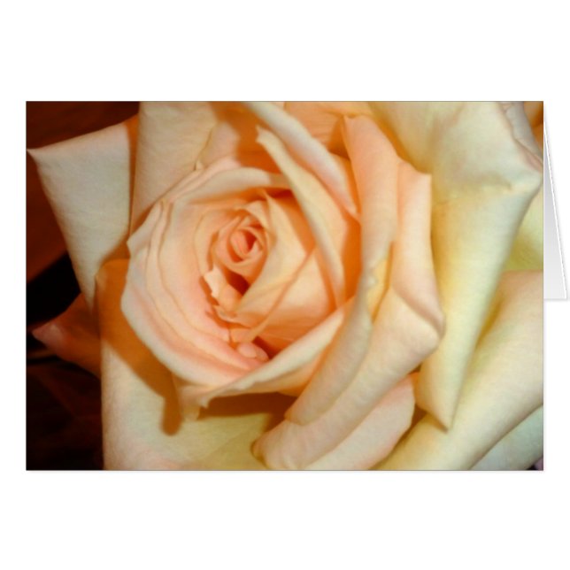 Cartão Fragrância (Frente horizontal)