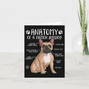 Cartão Francês Bulldog Anatomy Frenchie Dog Proprietário