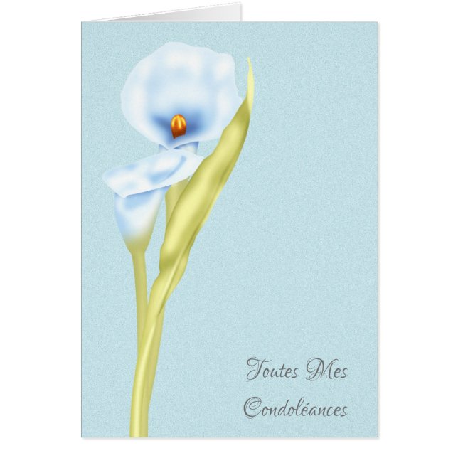 Cartão Francês de Toutes Mes Condoleances indicado (Frente)