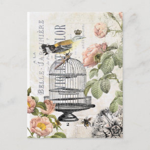 Cartão francês do pássaro do vintage