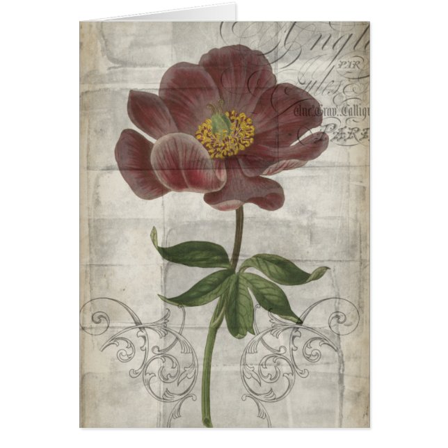 Cartão Francês Floral I (Frente)