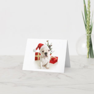 Cartão francês para Cartões de natal de buldogu