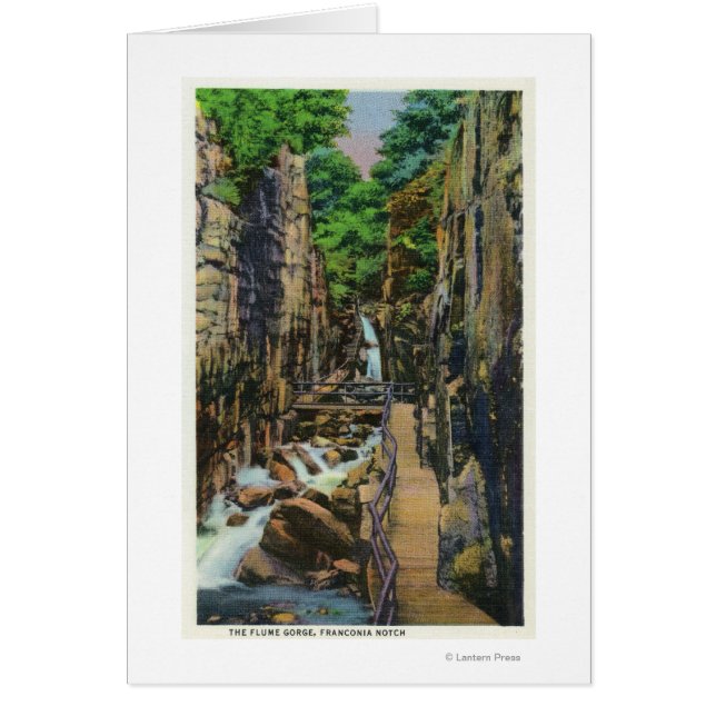 Cartão Franconia Notch State Park 2 (Frente)
