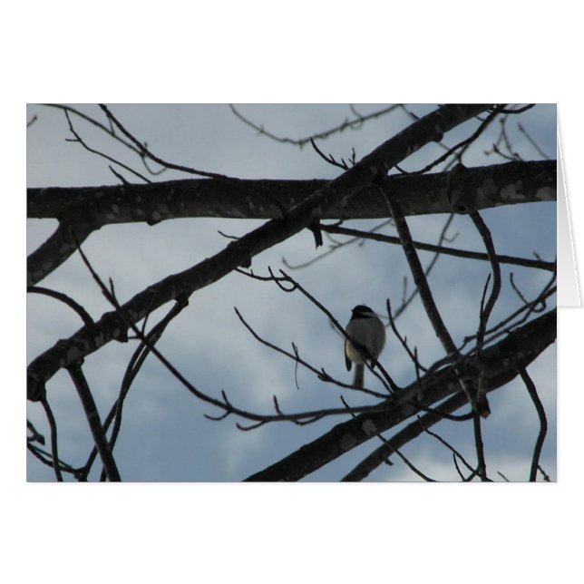 Cartão Frango (Frente Horizontal)