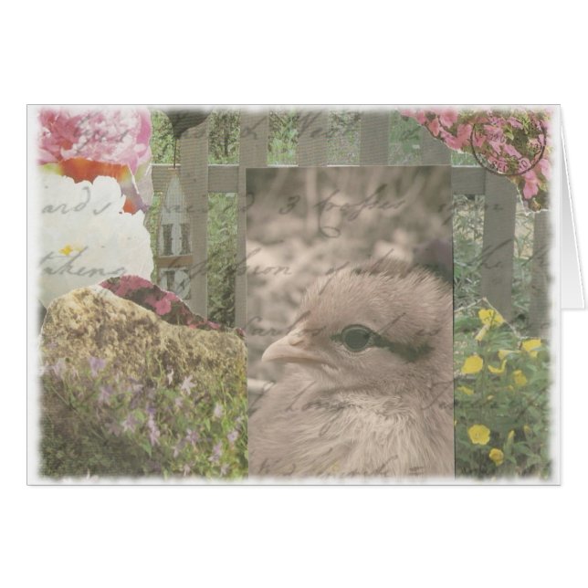 Cartão Frango 1 (Frente Horizontal)