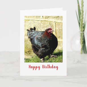 Cartão Frango Aniversário