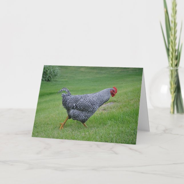 Cartão Frango Notecard (Frente)