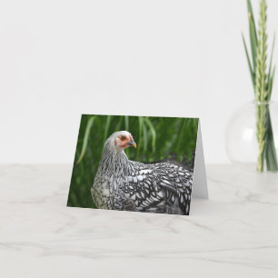 Cartão Frango Notecard