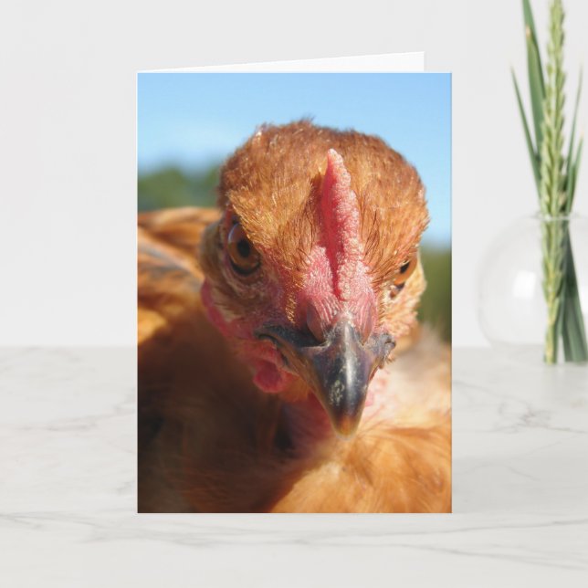 Cartão Frango Turkin (Frente)
