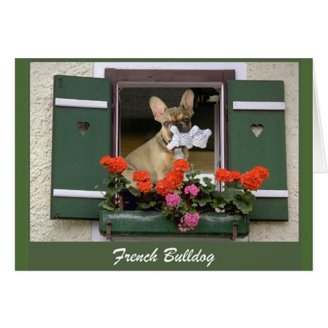 Cartão Französische Bulldogge Grußkarte (Frente Horizontal)